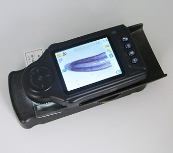 3R-MSV330A 携帯式デジタル顕微鏡ViewTyA（販売終了） | スリーアール 