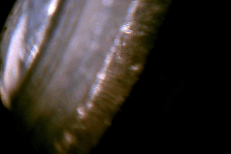 3r-bsr_0102.gif
