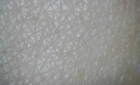 低倍率アタッチメントで撮影した肌の40倍拡大画像