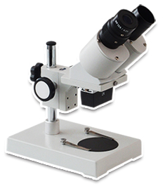 従来の顕微鏡イメージ