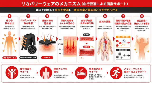 リカバリーウェアによる血行促進メカニズムの図解